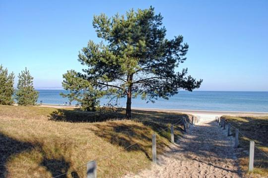 Strandvilla Aegir Mit Ostseeblick Binz Luaran gambar